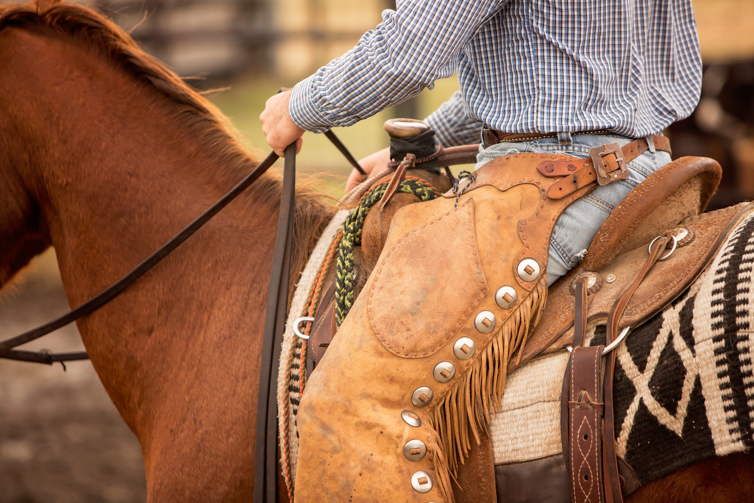 saddle on a horse